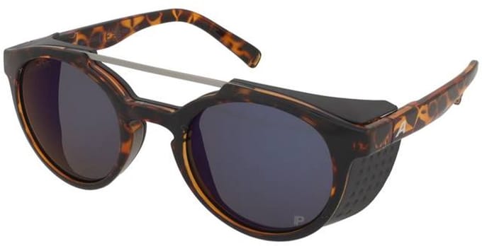 Zonnebril Alpina Glace P