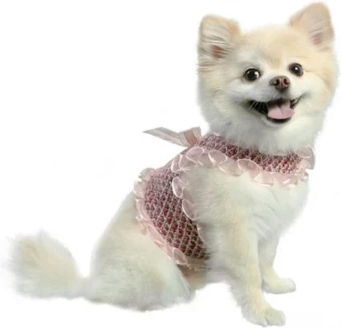 Pooch Outfitters Harness Alexa maat S