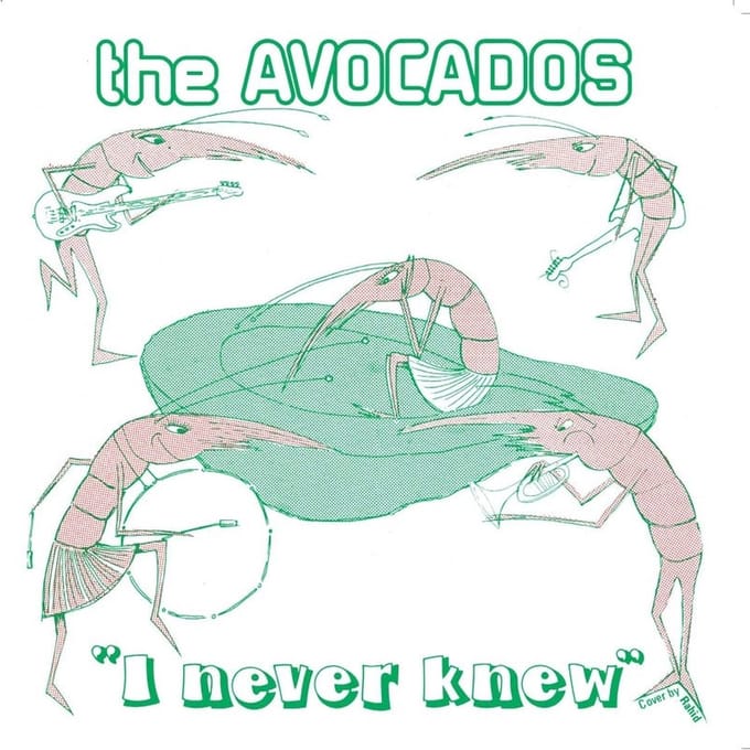 The Avocados - I Never Know (7" Single) (Coloured Vinyl)
