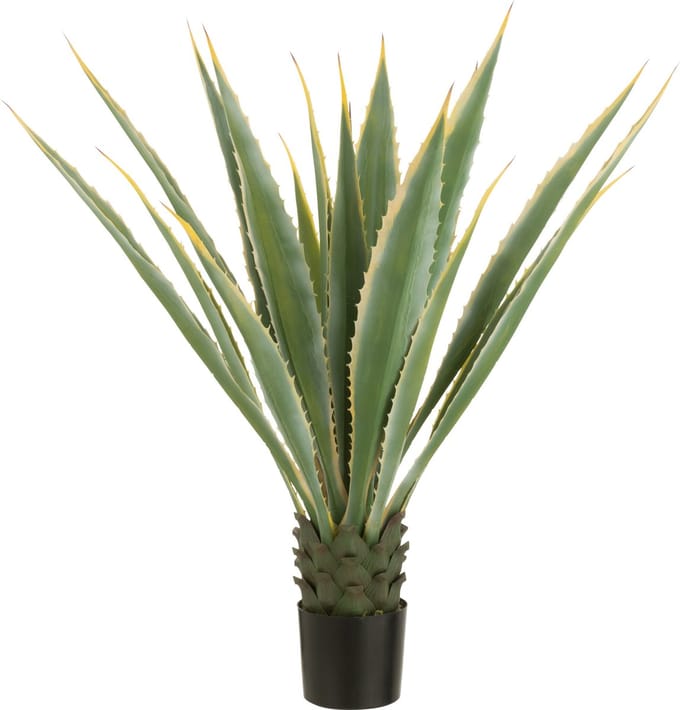 J-Line agave in pot Geel Rand - kunststof - groen