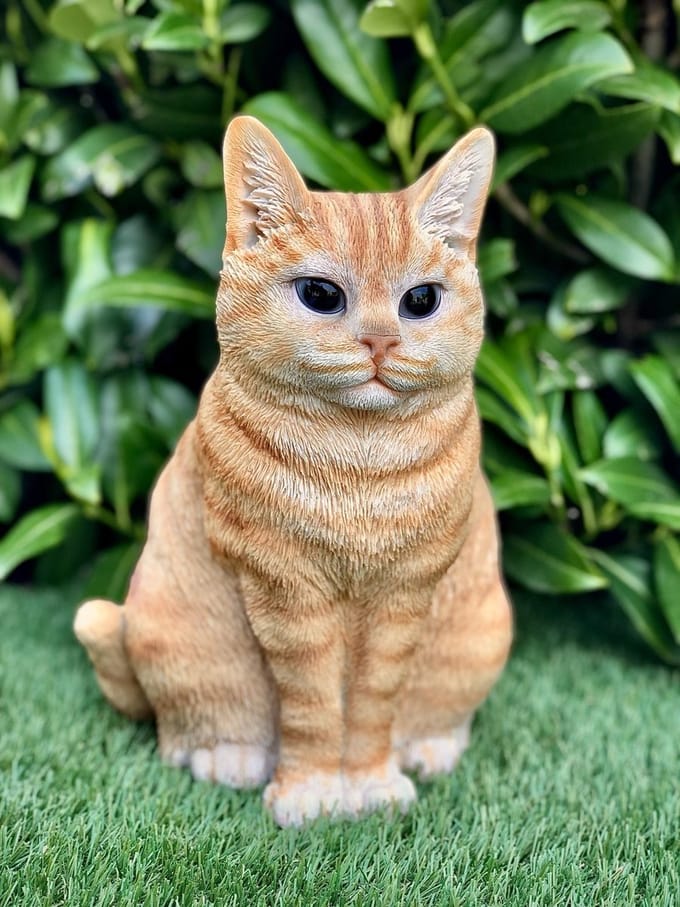 Kat/poes zittend groot | Britse korthaar rood/British shorthair ginger | 20x25x29cm