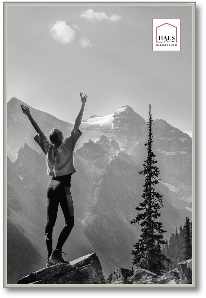 HAES deco - Kunststof fotolijst 40x60 zilver Easy Frame - EF9S