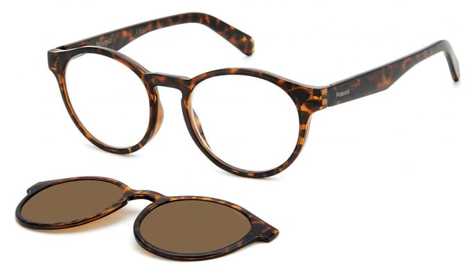 Polaroid PLD 0031/R/C Havana 50/18/145 UNISEX + 1.0 Leesbril