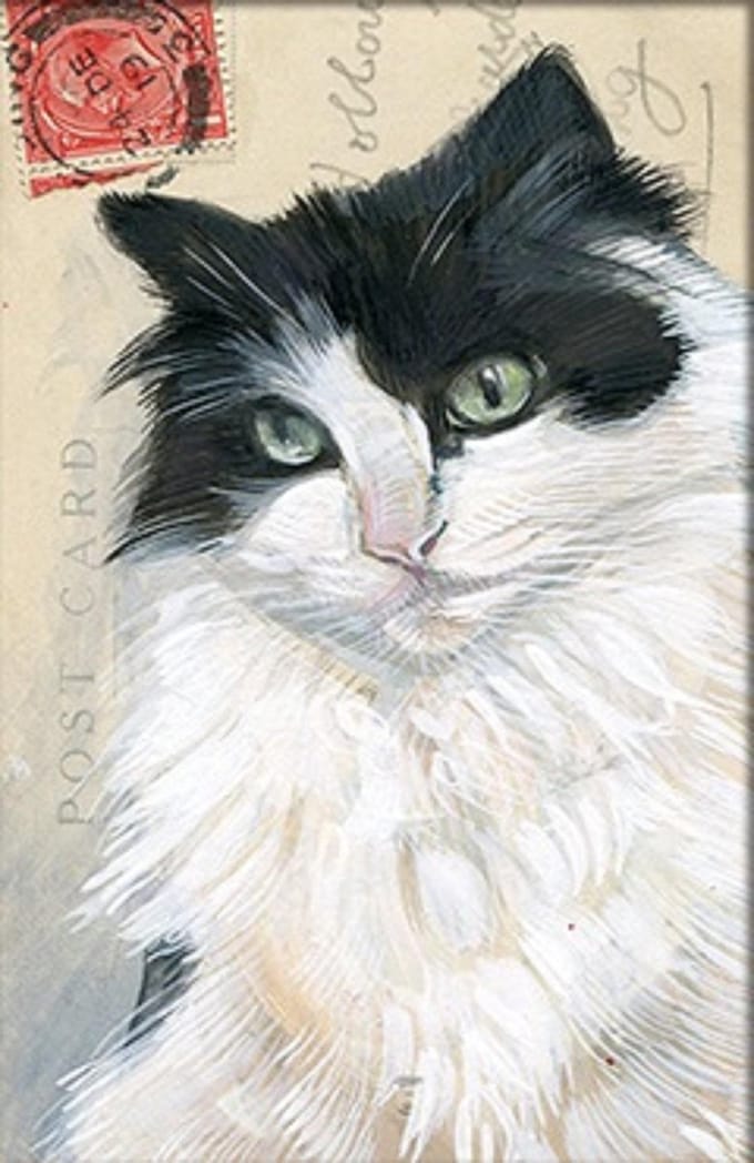 Dubbele kaart met env. Kat zwart/wit 11,5x17,5cm