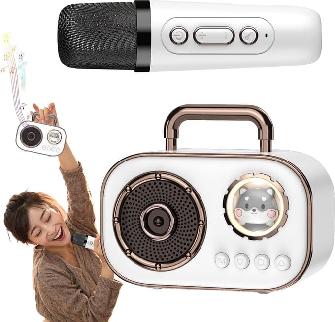 Set en luidspreker, karaoke-machine met microfoons, draadloze luidspreker met microfoon, oplaadbare audiobenodigdheden met lange levensduur