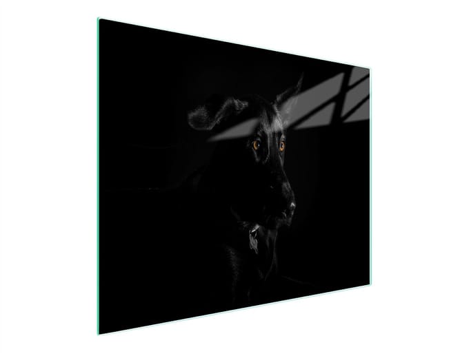 TMK ArtDeko - Snijplank - Glas - 52x30 cm - Hond