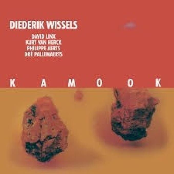 Diederik Wissels - Kamook (CD)