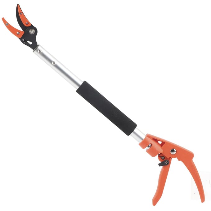 Fruitplukker Schaar Knipper voor Druiven Perzik Tak Snoeischaar Tuinaccessoire black