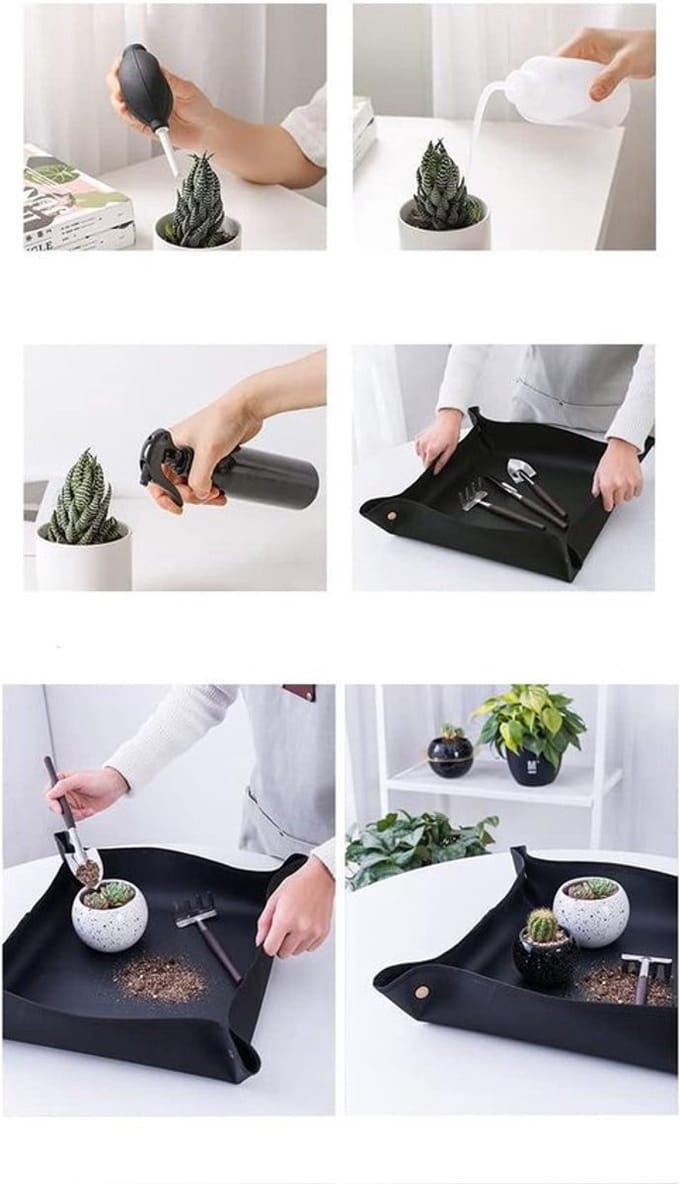 Dailygoody - Succulent Plants Tools - Tuinset - Miniatuur