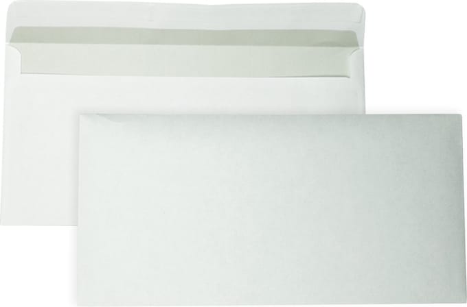 EA5/6 Enveloppen - 110 x 220 mm - 250 Stuks - Zelfklevend met plakstrip - 80 gram - DULA