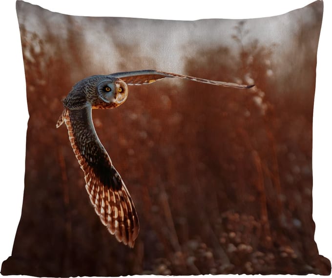 Buitenkussen - Vogel - Uil - Zonsondergang - Natuur - 45x45 cm - Weerbestendig