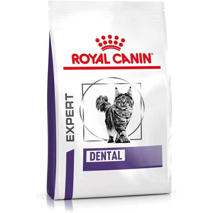 Royal Canin Expert Dental - 1.5 kg - Kattenvoer