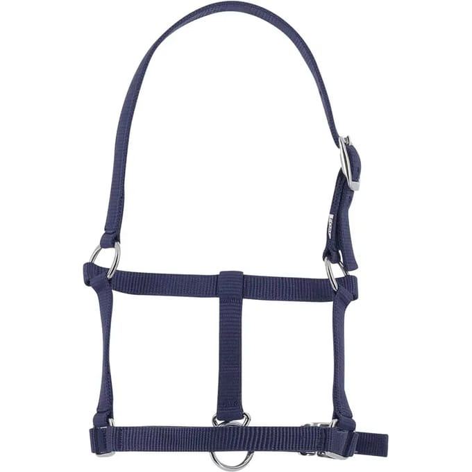 Halster voor veulen Riding World