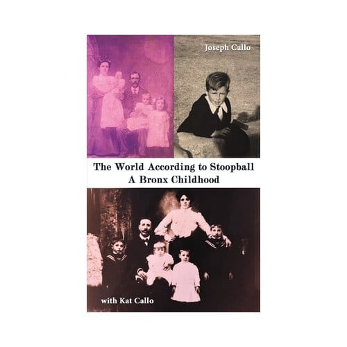 The World According To Stoopball - Joseph Callo