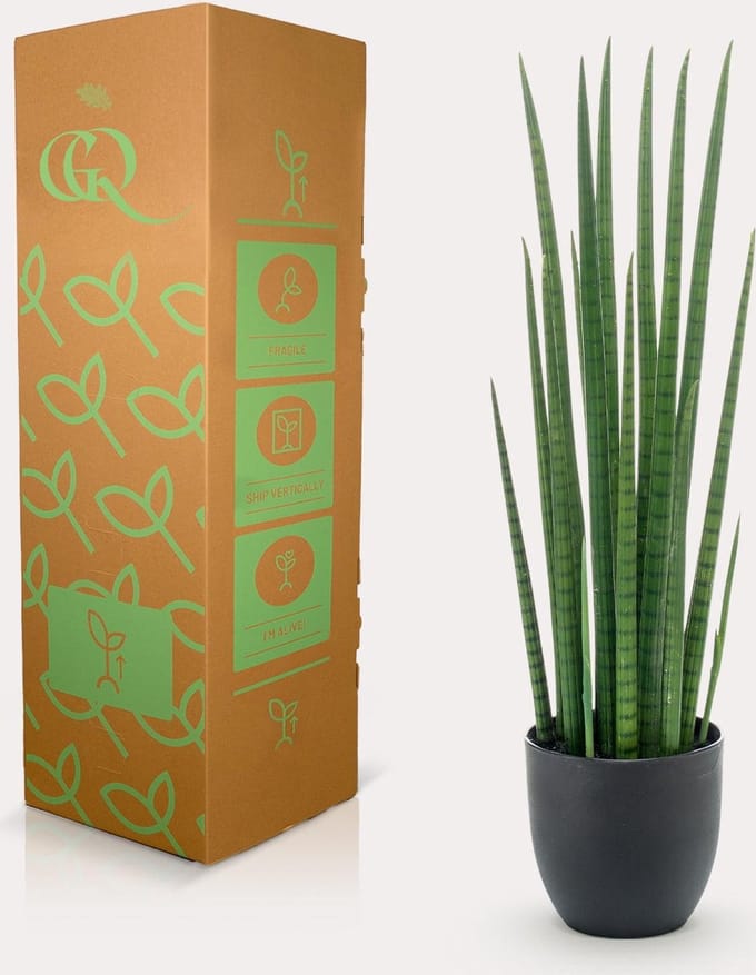 Kunstplant - Sanseveria Cylindrica - Vrouwentong - 70 cm