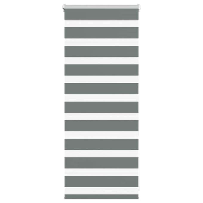 vidaXL - Zebra - rolgordijn - 65x100 - cm - stofbreedte - 60,9 - cm - donkergrijs