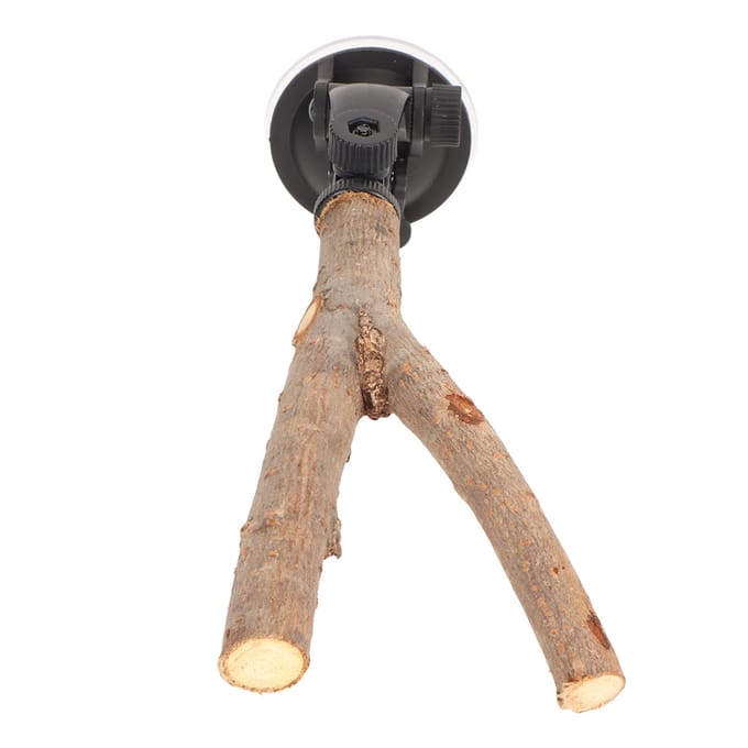 Vogel Tak Stok Standaard Training Interactief Voorkom Uitglijden Houten Papegaaienstok met Zuignappen voor 15cm / 5.9in beige