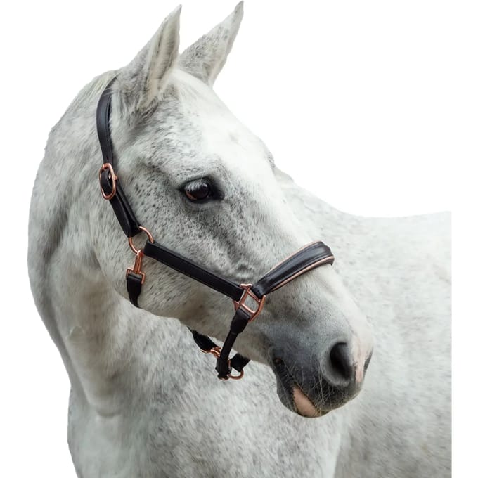Paardenhalster van leer Bridlery Eternity