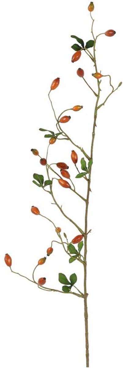 Countryfield Kunstbes Rosa canina L oranje