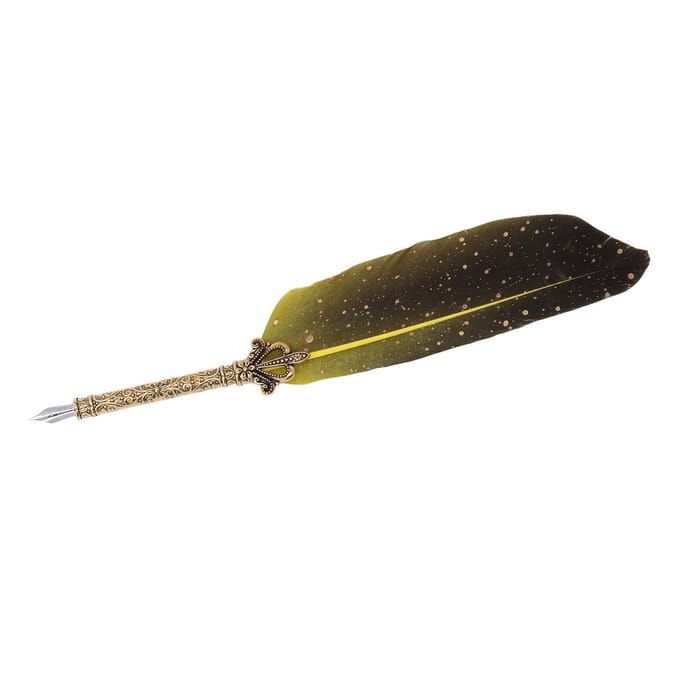 Ensemble de stylos à plume avec 5 pointes interchangeables, ouvre-lettres, porte-stylo, bouteille d'encre vide, ensemble de stylos à plume gris