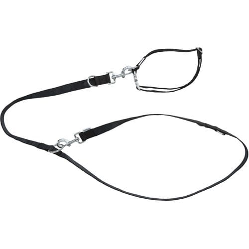 ZOOFARI Hondenhalsband en riem (Zwart, S)