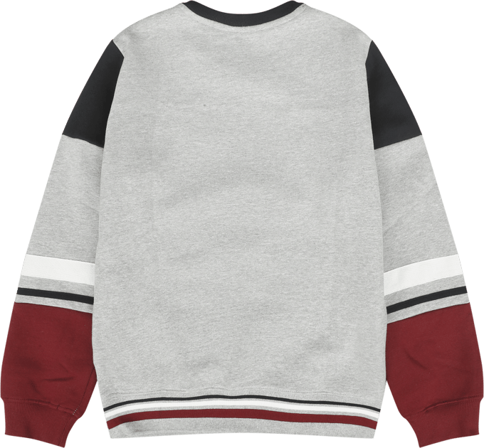Harry Potter Sweatshirt - Kids - Hogwarts - England Made - 176 - voor Kinderen - meerkleurig