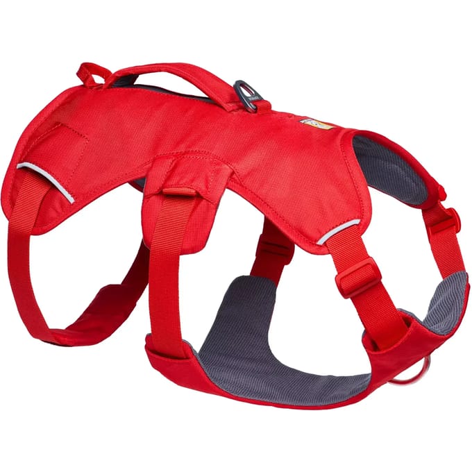 Hondentuig Ruffwear Web Master™