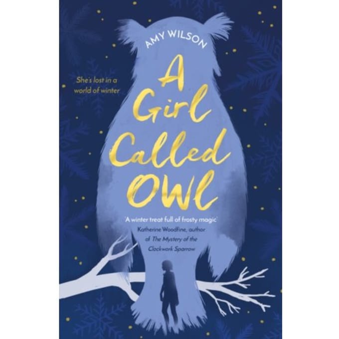 A Girl Called Owl - Amy Wilson