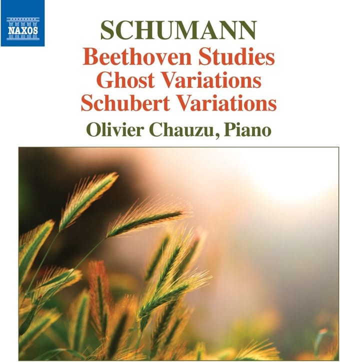 Olivier Chauzu - Beethoven Studies/Ghost Variations (CD)