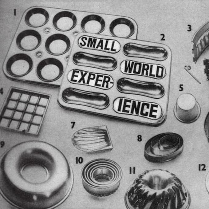 Small World Experience - Shelf-Life (LP)