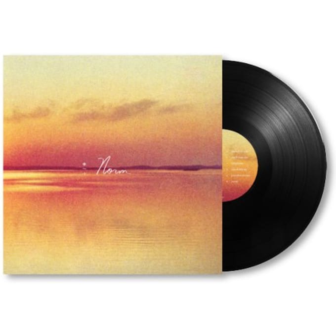 Andy Shauf - Norm (LP)