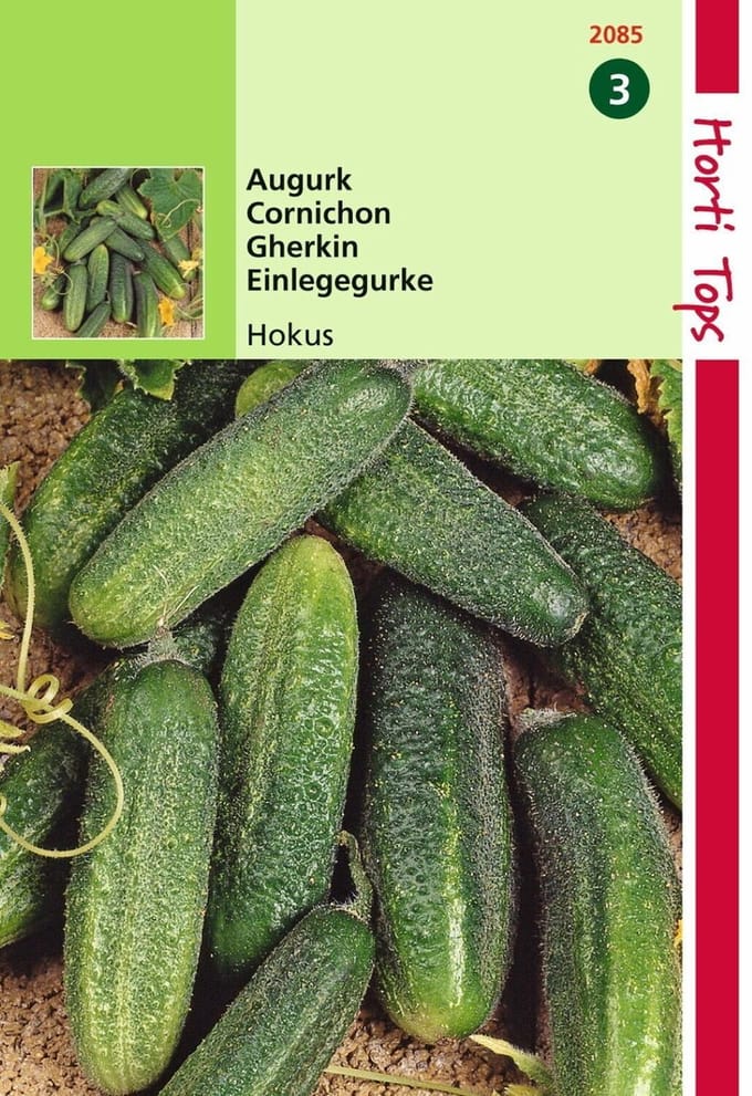 2 stuks Hortitops Augurken Hokus