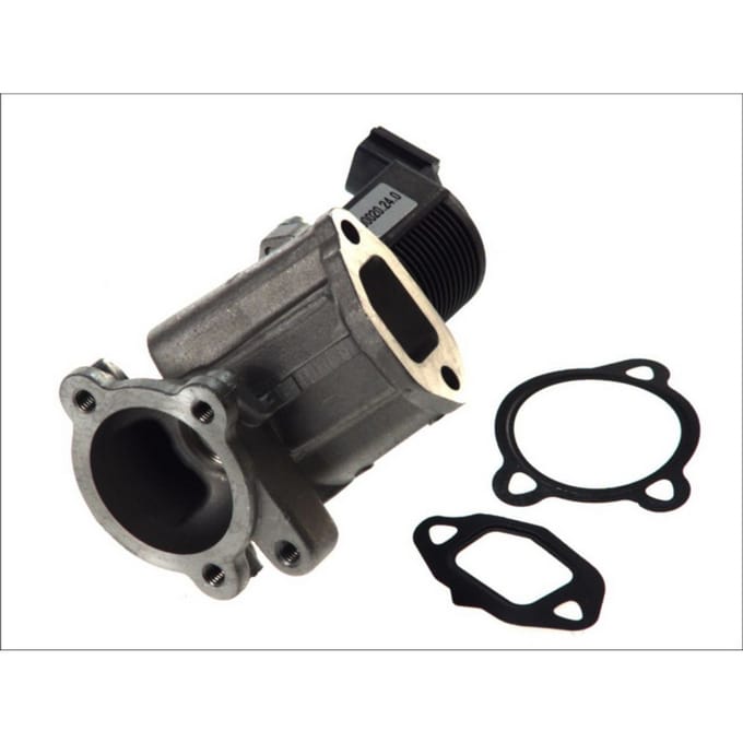 EGR-klep PIERBURG 7.00020.24.0
