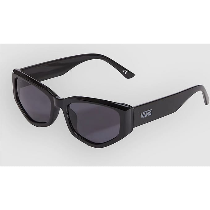 Vans Leyden Zonnebril zwart