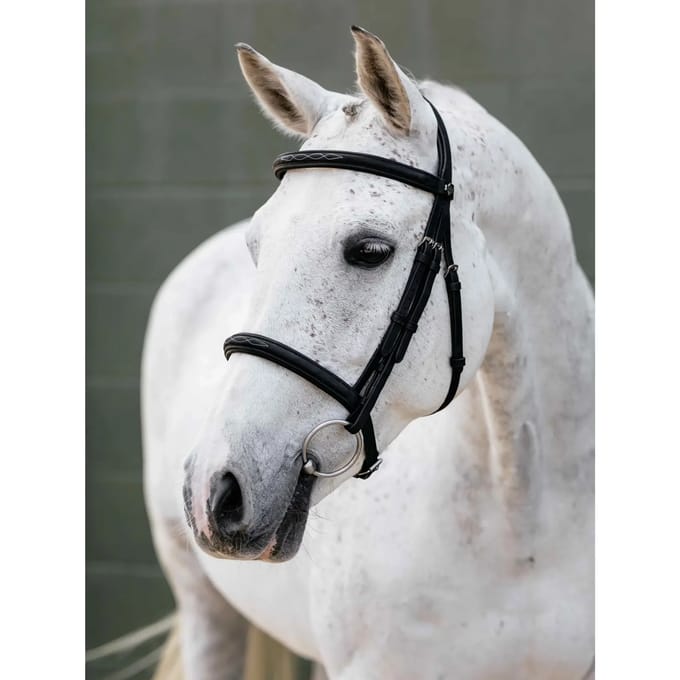 Bridons voor paard met neusriem LeMieux