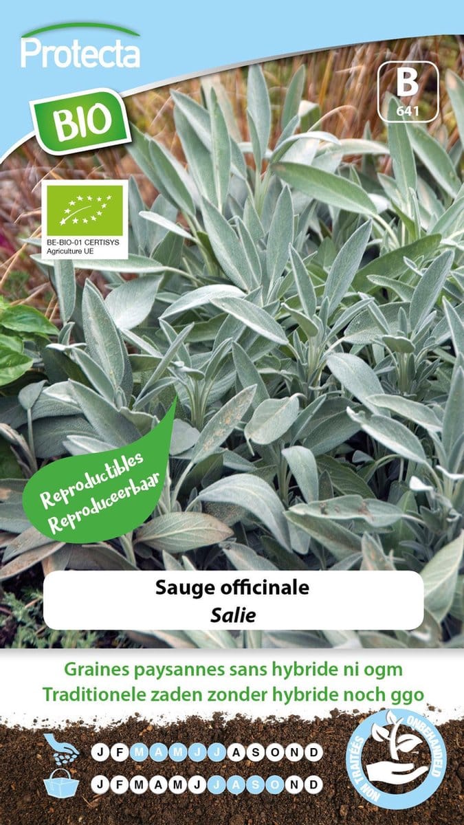 Protecta Kruiden zaden: Salie Biologisch