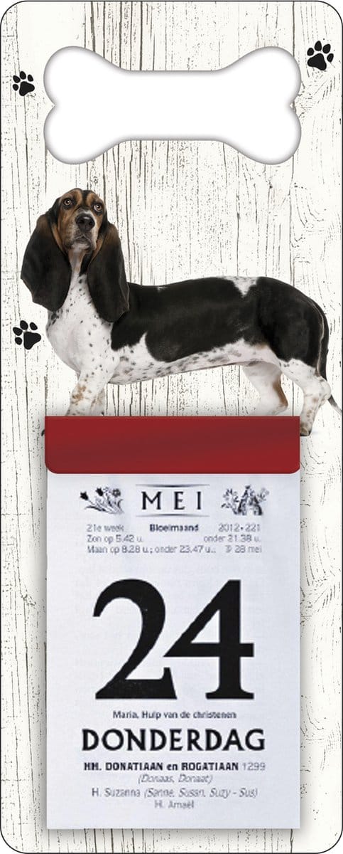 Scheurkalender 2027 Hond: Teckel