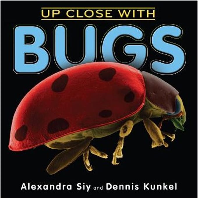Up Close With Bugs - Alexandra Siy