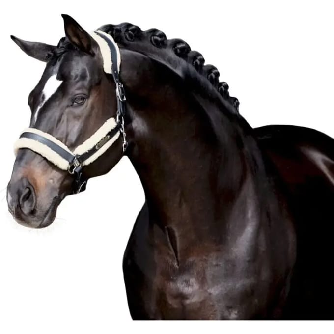Hoofdstel schede Eskadron en fausse fourrure Stallion