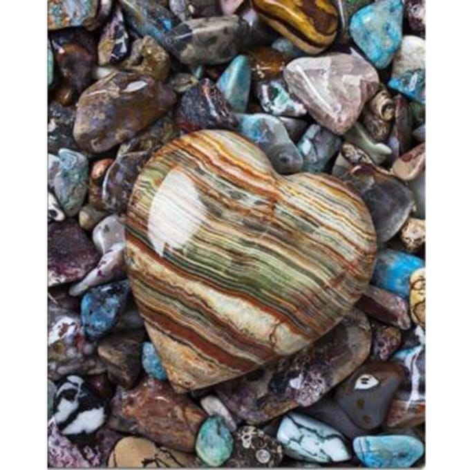 5D Diy Daimond Schilderen Borduurpakketten Rood & Wit Roos Diamant Borduren 20X30CM gray