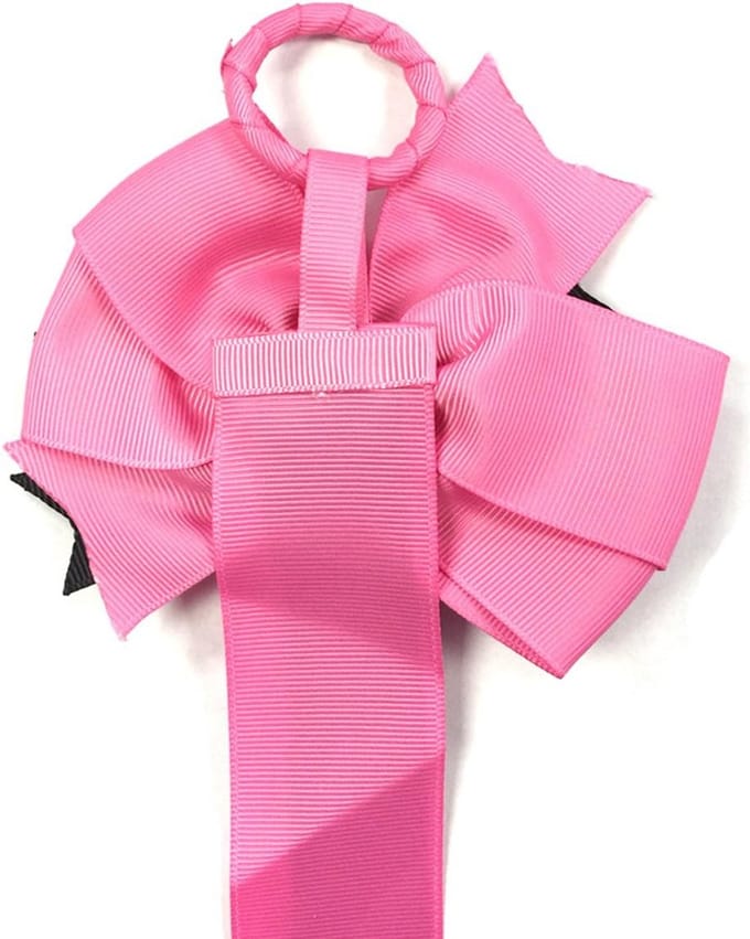 Lange Haarspeldjes en Haarstrikken Organizer met Strik - Roze Luipaardprint