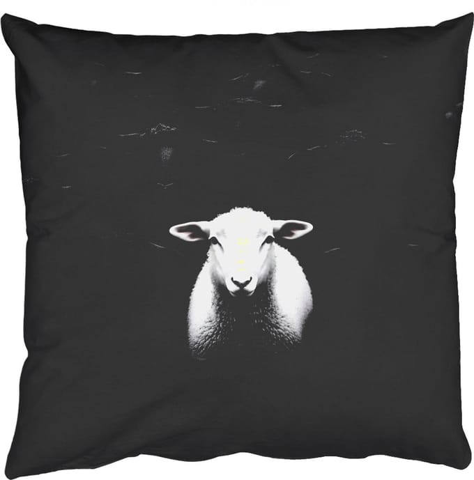 Sierkussens - Kussentjes Woonkamer - 40x40 cm - Schapen - Wit - Duisternis
