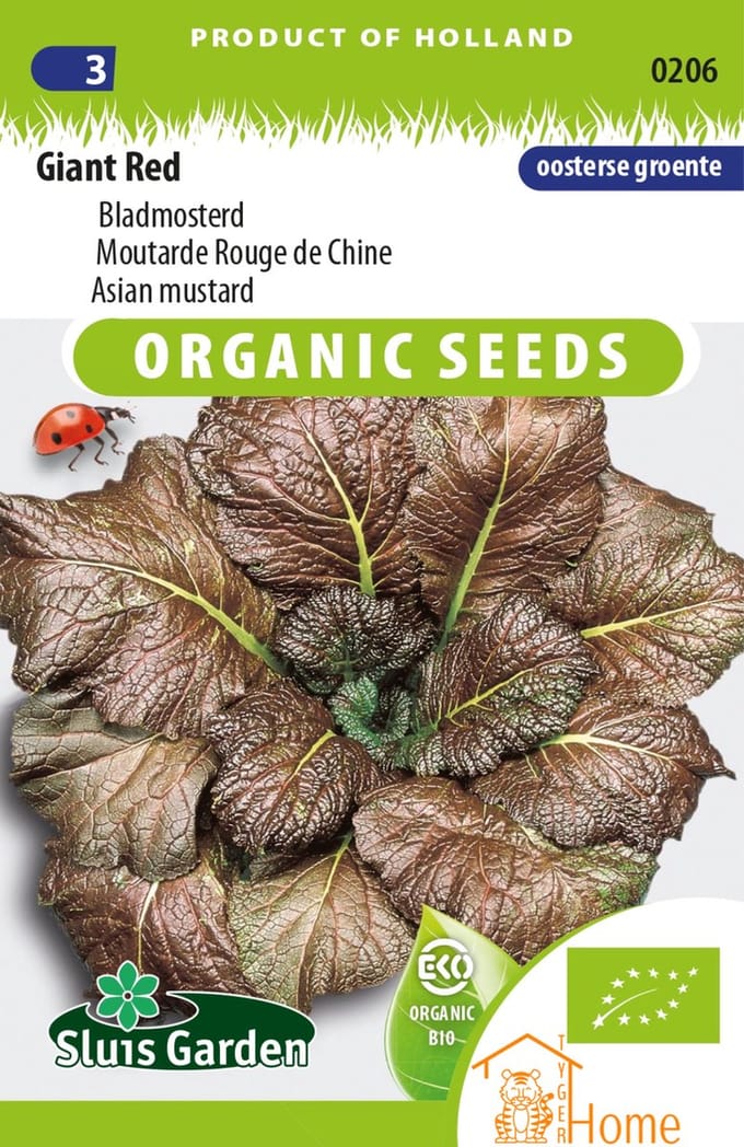 Sluis Garden - Bladmosterd Giant Red Biologisch