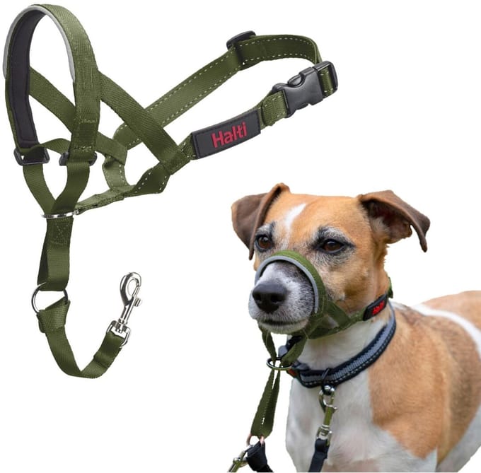 Halti Headcollar - Forest Green - Maat 1