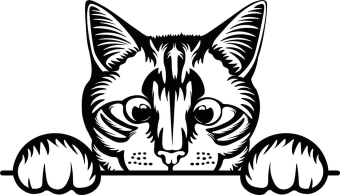Auto raam sticker - auto tuning - muursticker grappige gluurkat - poes -