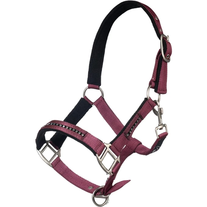 Halster voor paard met musketon HKM