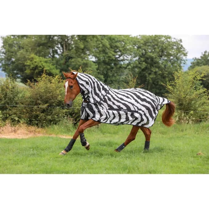 Paardendeken accessoire Bucas Zebra