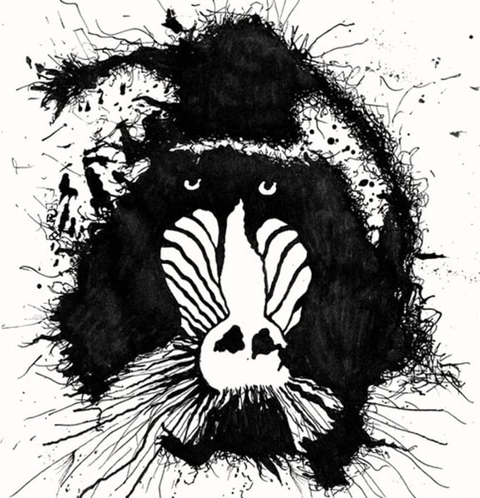 Feral Ohms - Feral Ohms (CD)