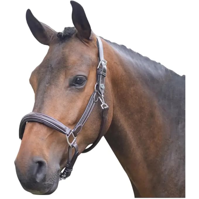 Halster voor paarden Jump'In Week