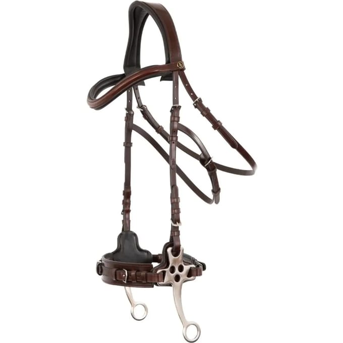 Anatomische hoofdstellen BR Equitation Lydney